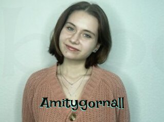 Amitygornall