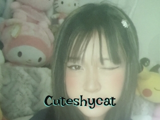 Cuteshycat