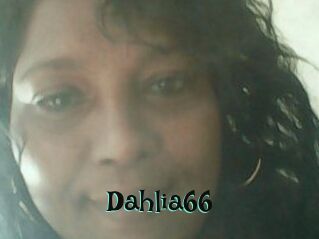 Dahlia66