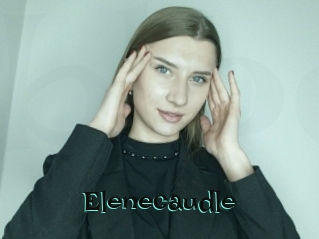 Elenecaudle