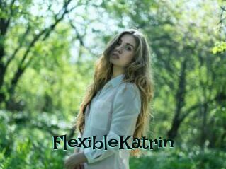 FlexibleKatrin