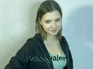 Felicegaler