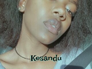 Kesandu