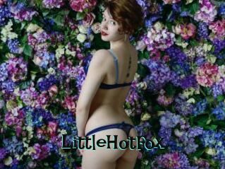 LittleHotFox