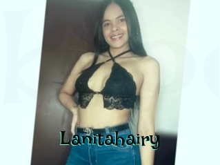 Lanitahairy