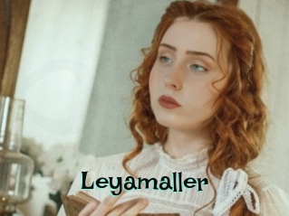 Leyamaller