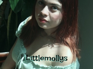 Littlemollys