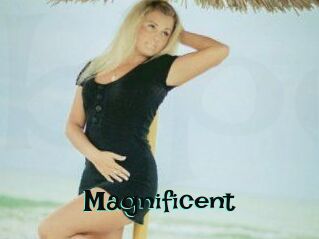 Magnificent Blog Pornostar