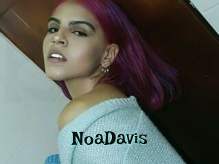 NoaDavis