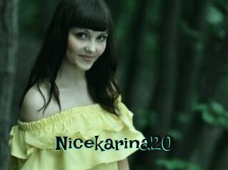 Nicekarina20