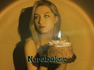 norabaker Blog Pornostar