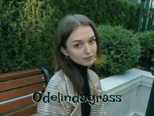 Odelindagrass