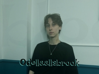 Odellaallsbrook