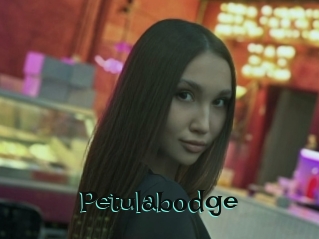 Petulabodge
