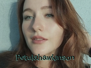 Petulahawkinson