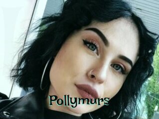 Pollymurs