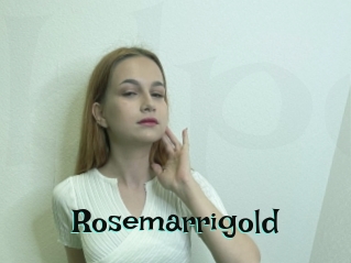 rosemarrigold Blog Pornostar
