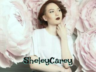 SheleyCarey Blog Pornostar