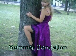 Summer_Dandelion