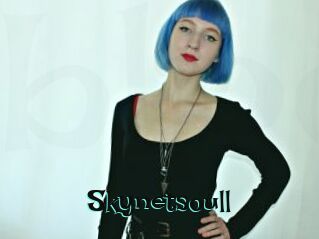 Skynetsoull