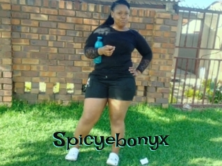 Spicyebonyx