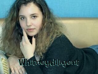 Whitneydiligent