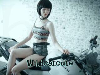Wildcatcute