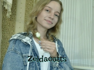 Zeldacatts